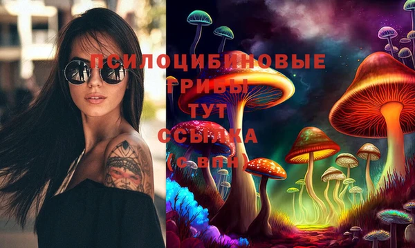 гидра Алексин