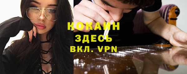 гидра Алексин