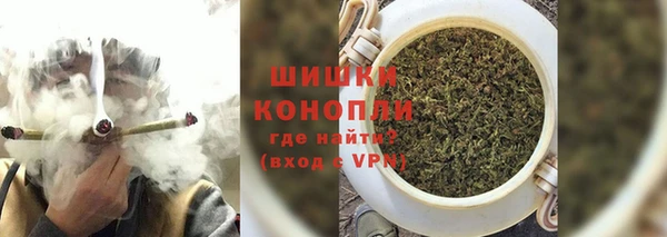 мет Лагань