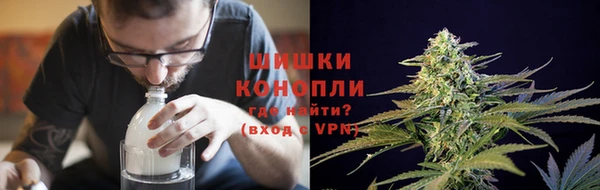 ГАЛЛЮЦИНОГЕННЫЕ ГРИБЫ Алзамай