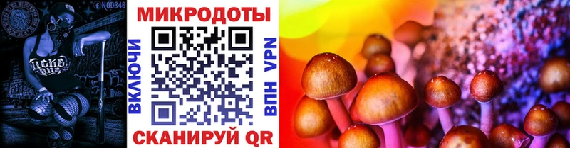 купить закладку  мега рабочий сайт  Псилоцибиновые грибы мухоморы  Артёмовск 